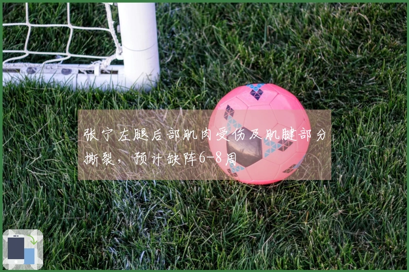 张宁左腿后部肌肉受伤及肌腱部分撕裂，预计缺阵6-8周