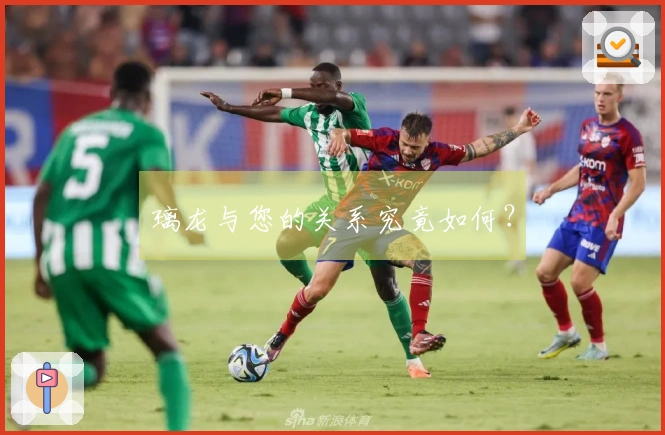 璃龙与您的关系究竟如何？