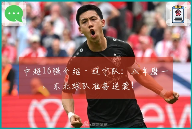 中超16强介绍·辽宁队：八年磨一剑，东北球队准备逆袭！