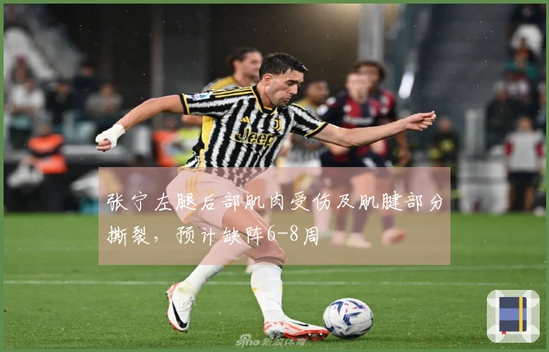 张宁左腿后部肌肉受伤及肌腱部分撕裂，预计缺阵6-8周