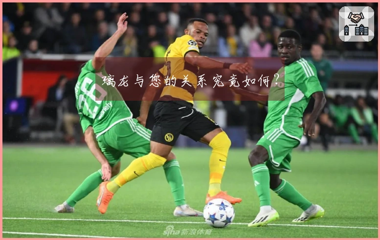 璃龙与您的关系究竟如何？