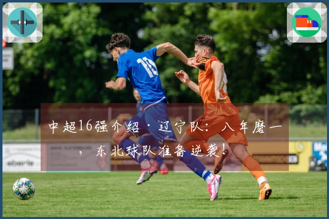 中超16强介绍·辽宁队：八年磨一剑，东北球队准备逆袭！